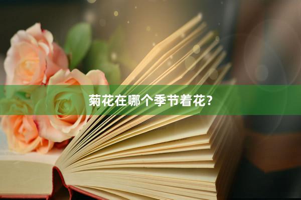 菊花在哪个季节着花？