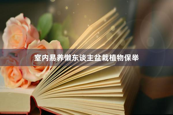 室内易养懒东谈主盆栽植物保举